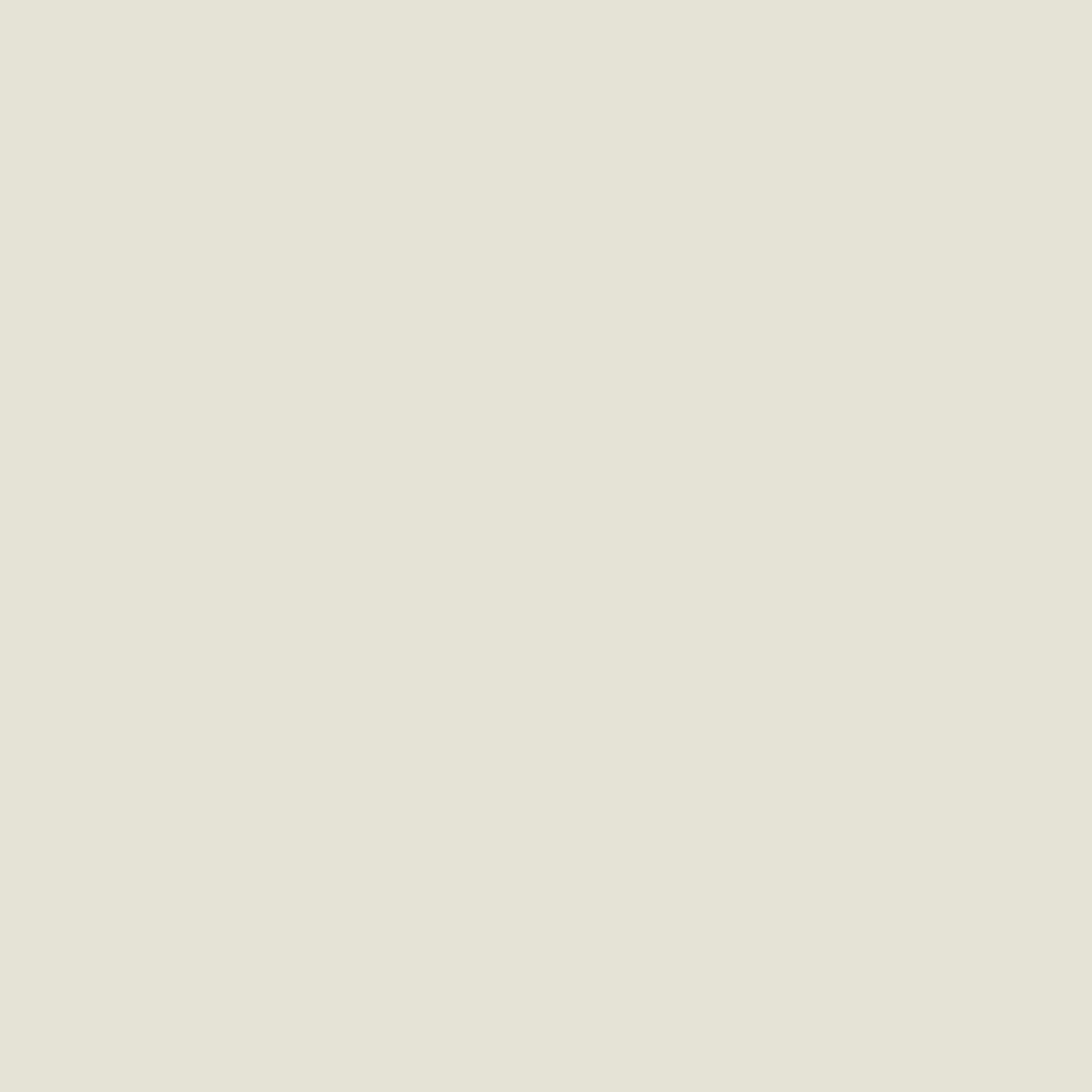 fleur-primers-universal-colour-primer-grundierung-hellgrau image 2