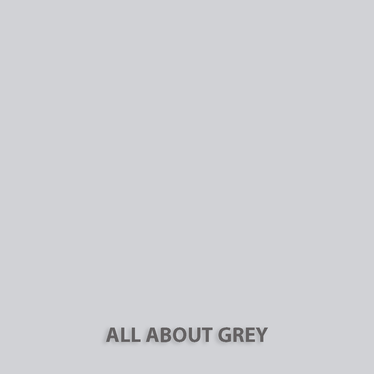 fleur-natural-clay-paint-toner-all-about-grey-hellgrau image 1