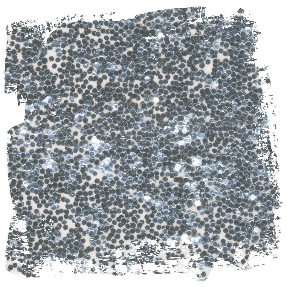 fleur-powder-glitter-glitzerpulver-silver-ottogonal image 1