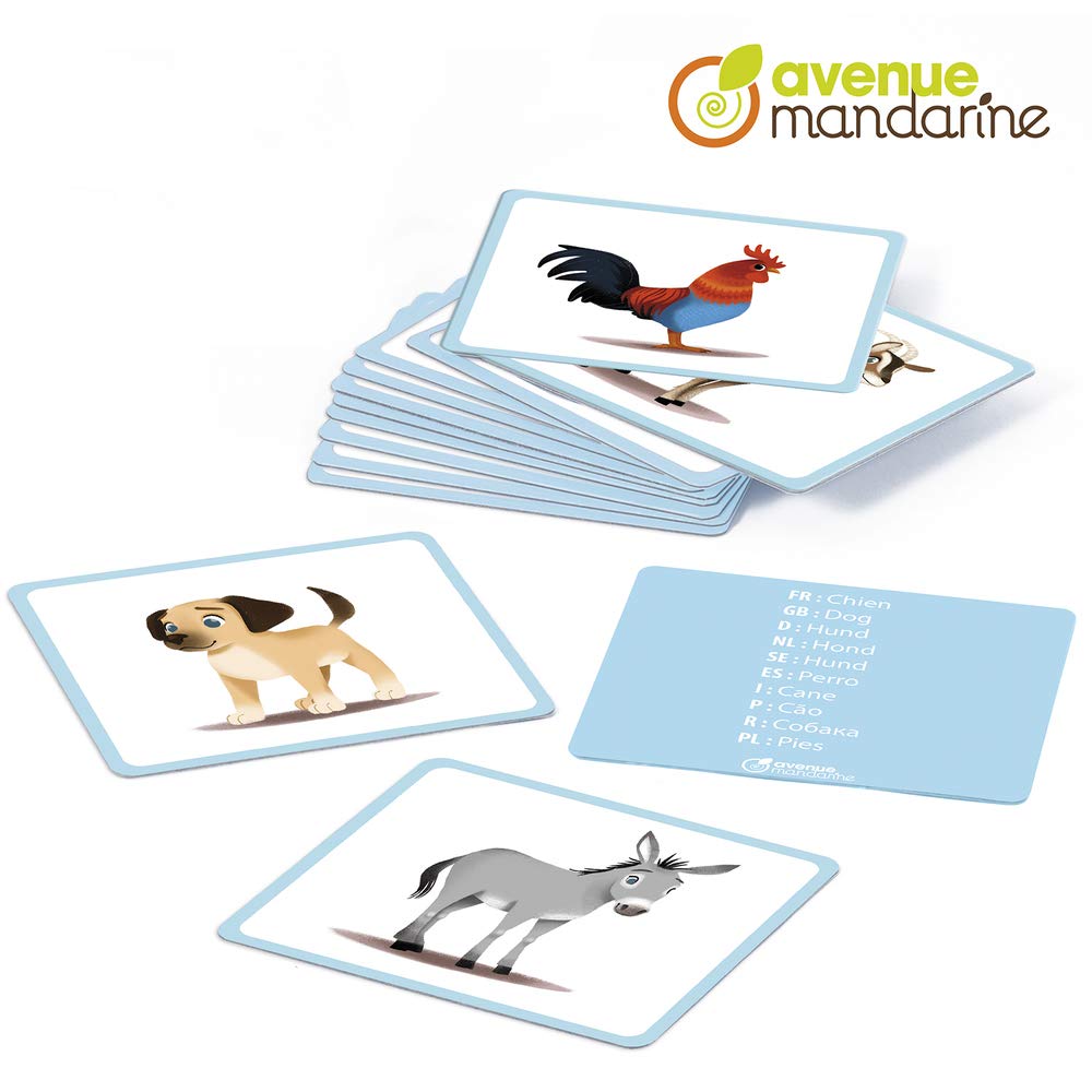avenue-mandarine-my-mandarine-je513c-bildkarten-haustiere-24er image 2