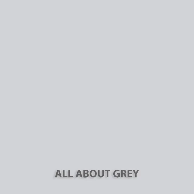 fleur-natural-clay-paint-toner-all-about-grey-hellgrau image 1