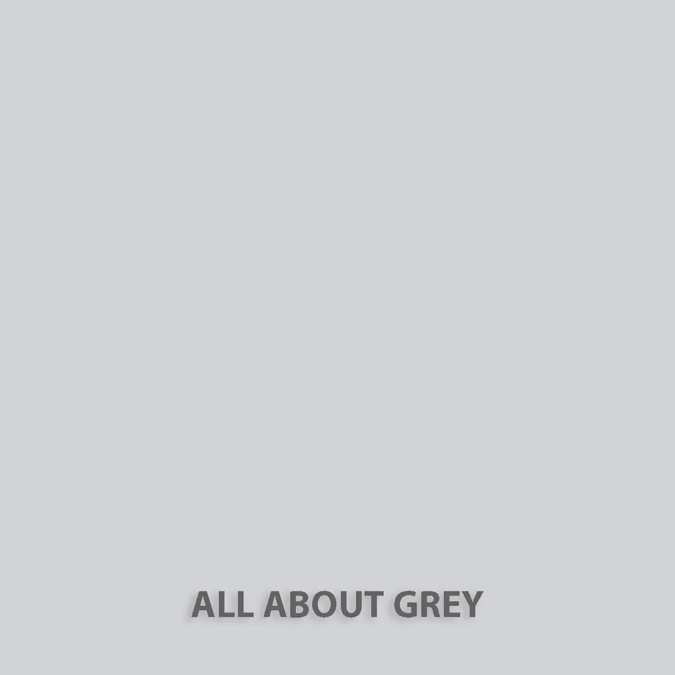 fleur-natural-clay-paint-toner-all-about-grey-hellgrau image 1