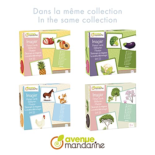 avenue-mandarine-je528c-bildkarten-wildtiere-24-karten-ab-2-jahren image 8