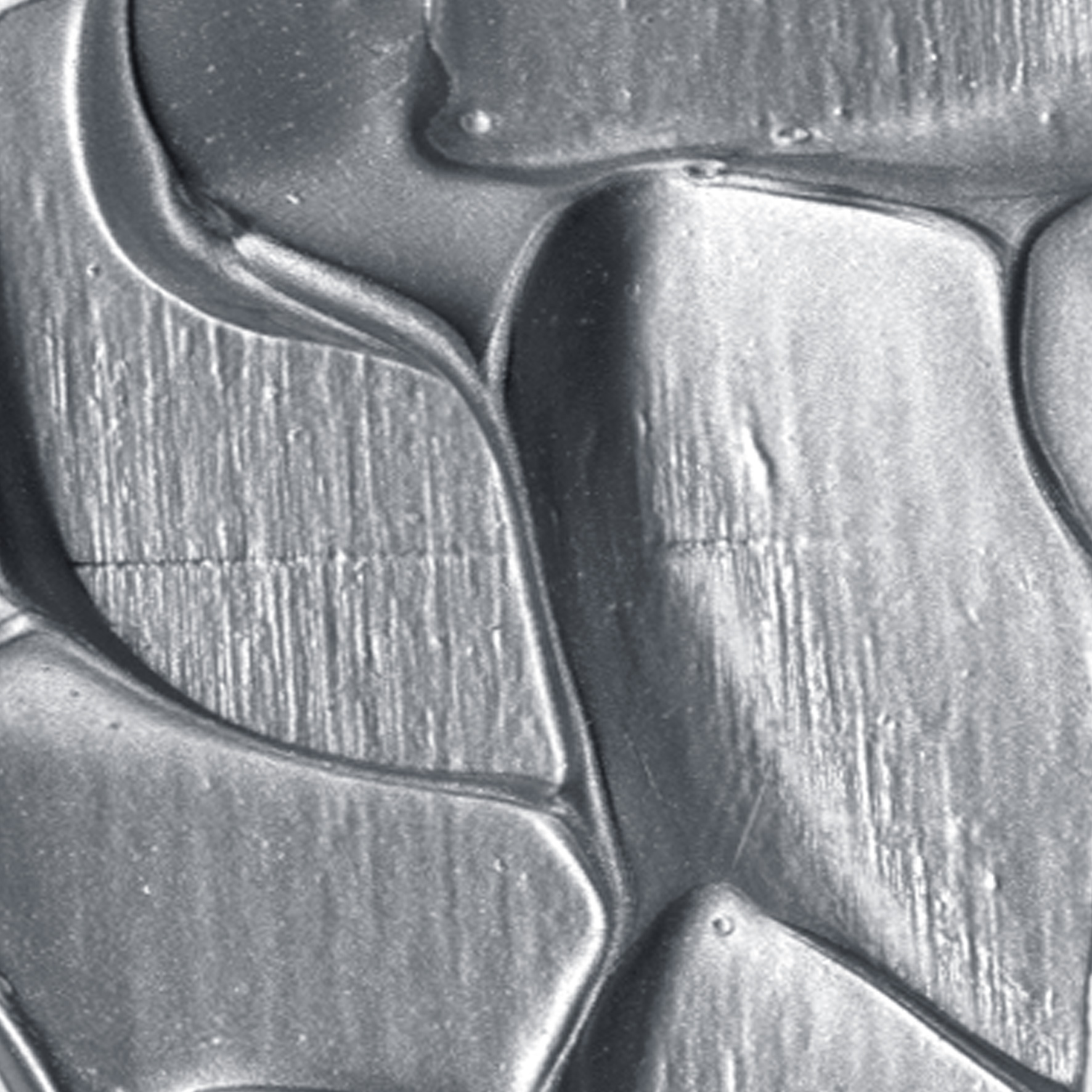 fleur-structure-pasta-metallo-argento-strukturpaste-silber image 2