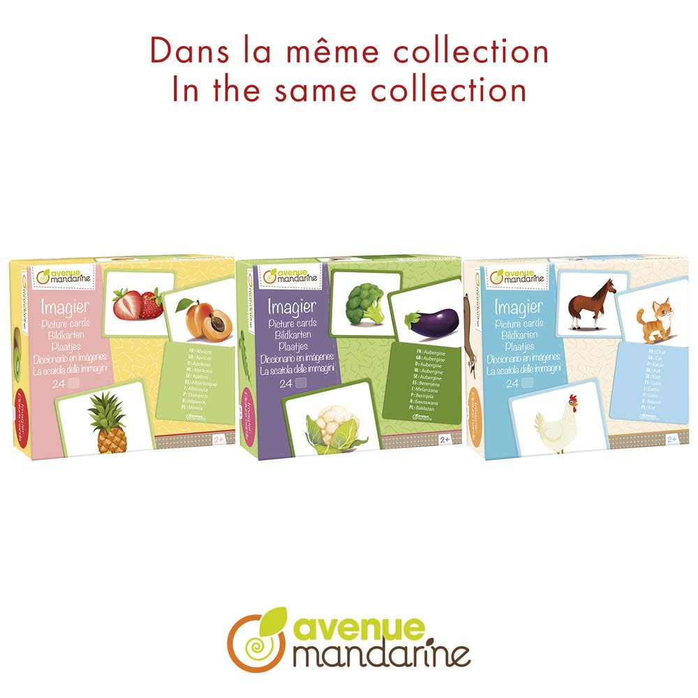 avenue-mandarine-my-mandarine-je513c-bildkarten-haustiere-24er image 4